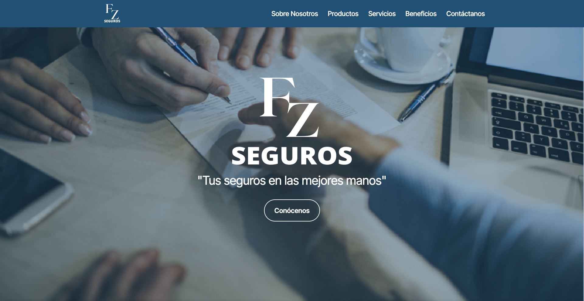 FZ Seguros screenshot